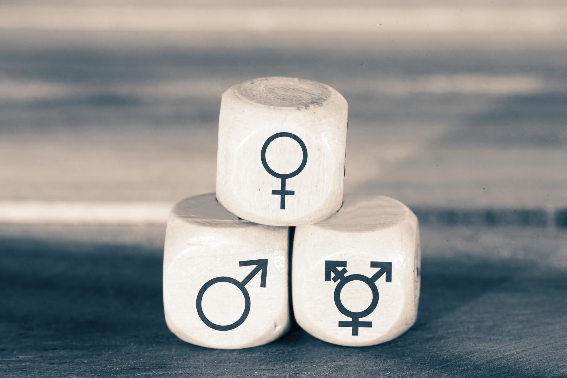 Gender and Sexual Diversity